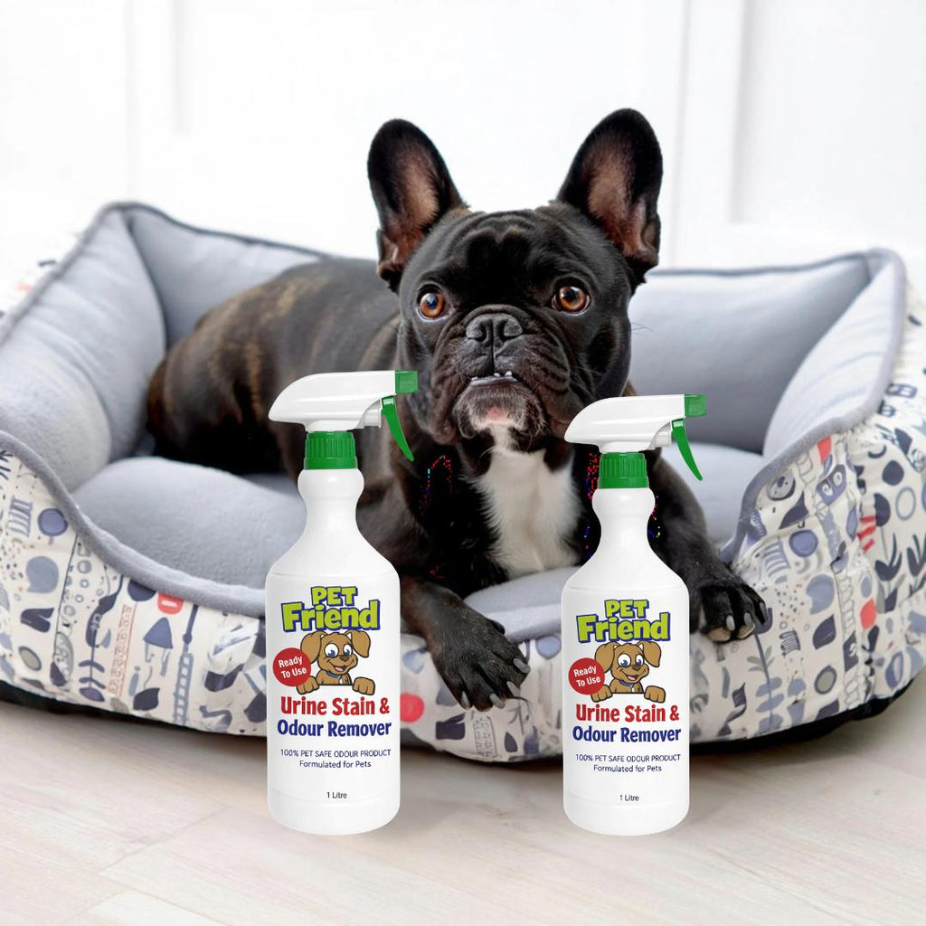 Pet Urine Stain & Odour Remover | Ready To Use Formula | BUY 1 GET 1 FREE!