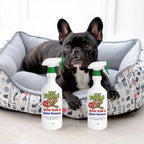 Pet Urine Stain & Odour Remover | Ready To Use Formula | BUY 1 GET 1 FREE!