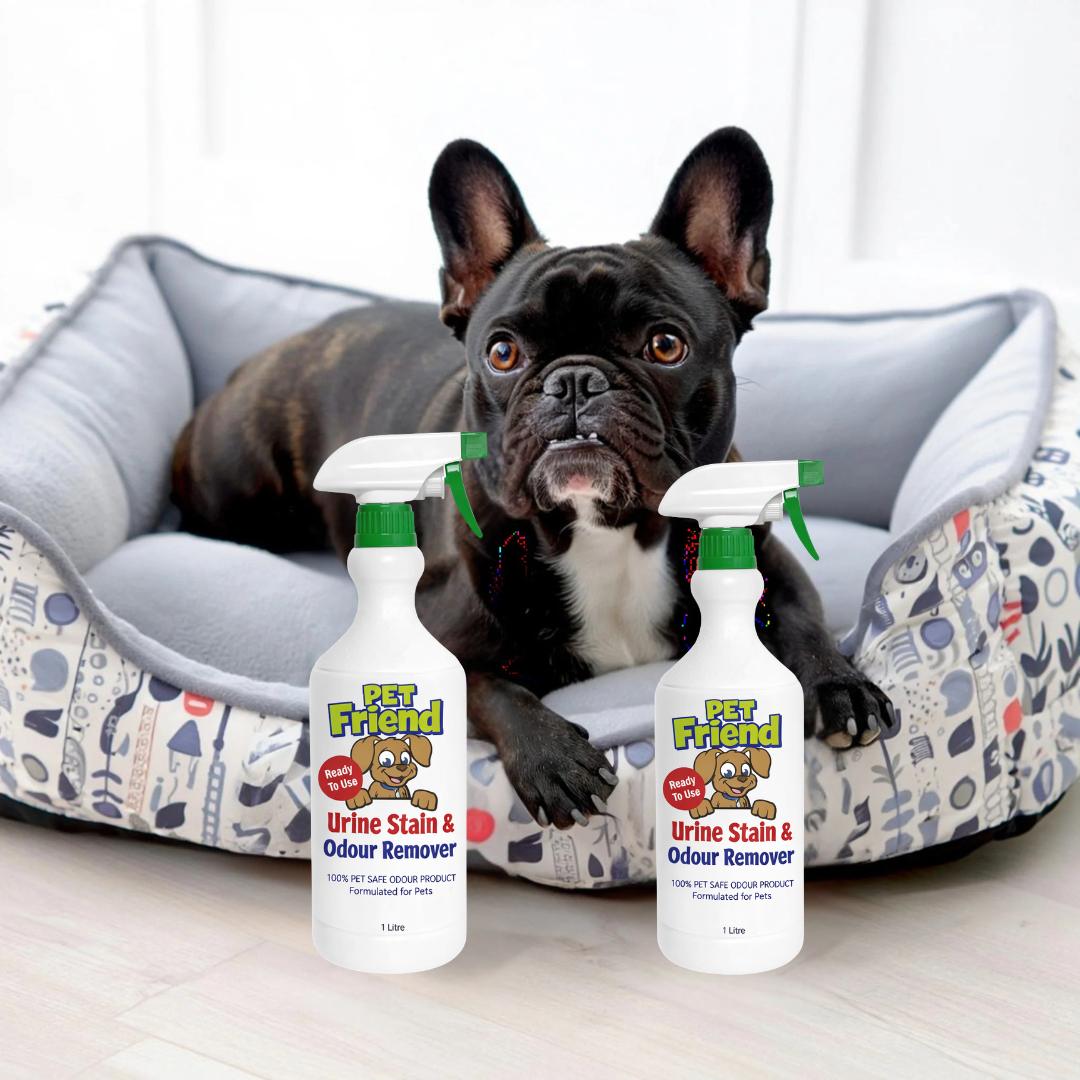 Pet Urine Stain & Odour Remover | Ready To Use Formula | BUY 1 GET 1 FREE!