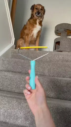 Pet Hair Remover | BUY 1 GET 1 FREE!
