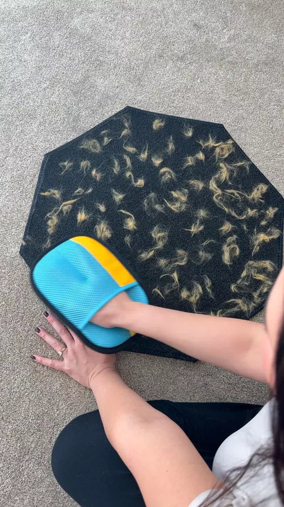 Pet Clean Glove | BUY 1 GET 1 FREE!