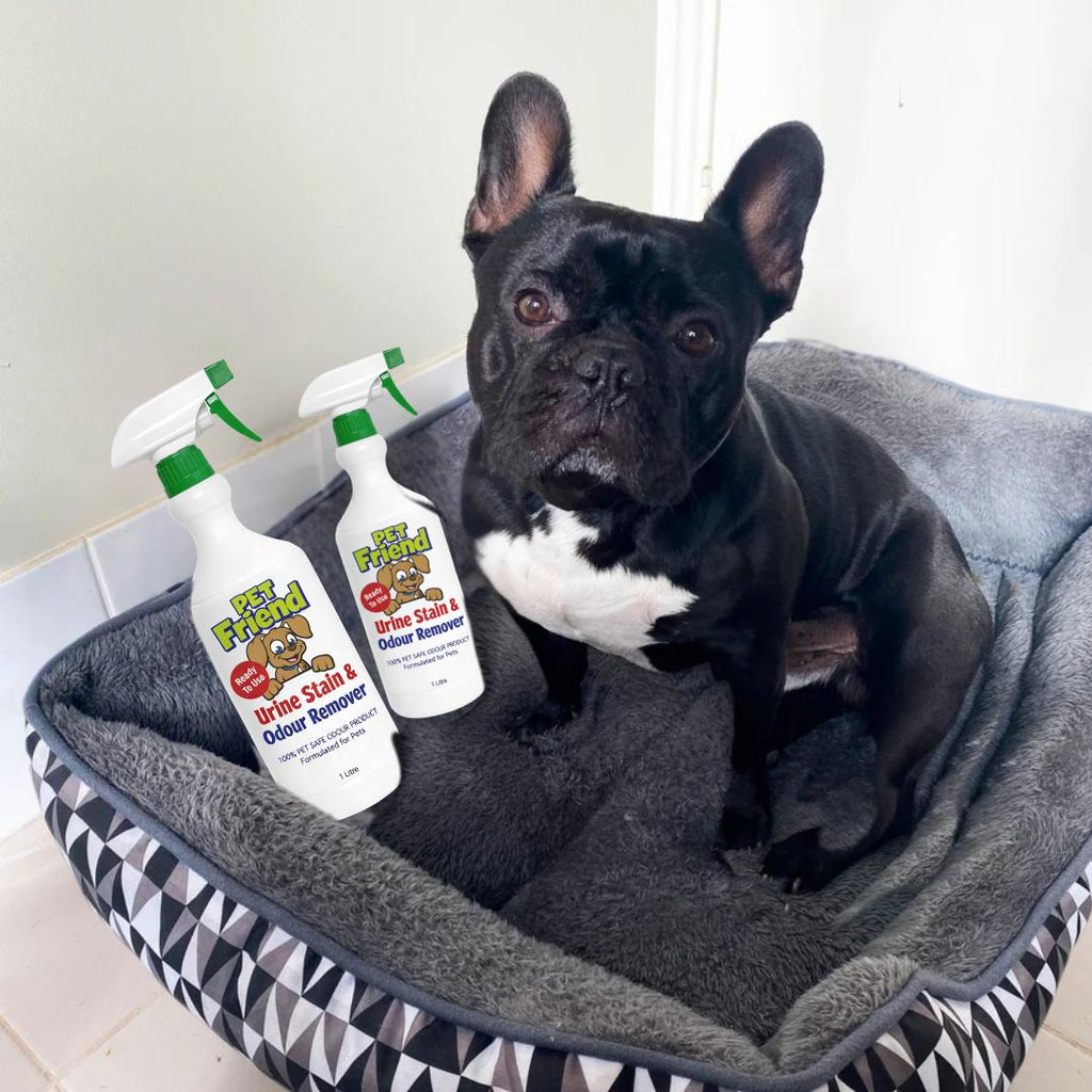 Pet Urine Stain & Odour Remover | Ready To Use Formula | BUY 1 GET 1 FREE!