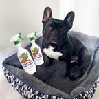 Pet Urine Stain & Odour Remover | Ready To Use Formula | BUY 1 GET 1 FREE!