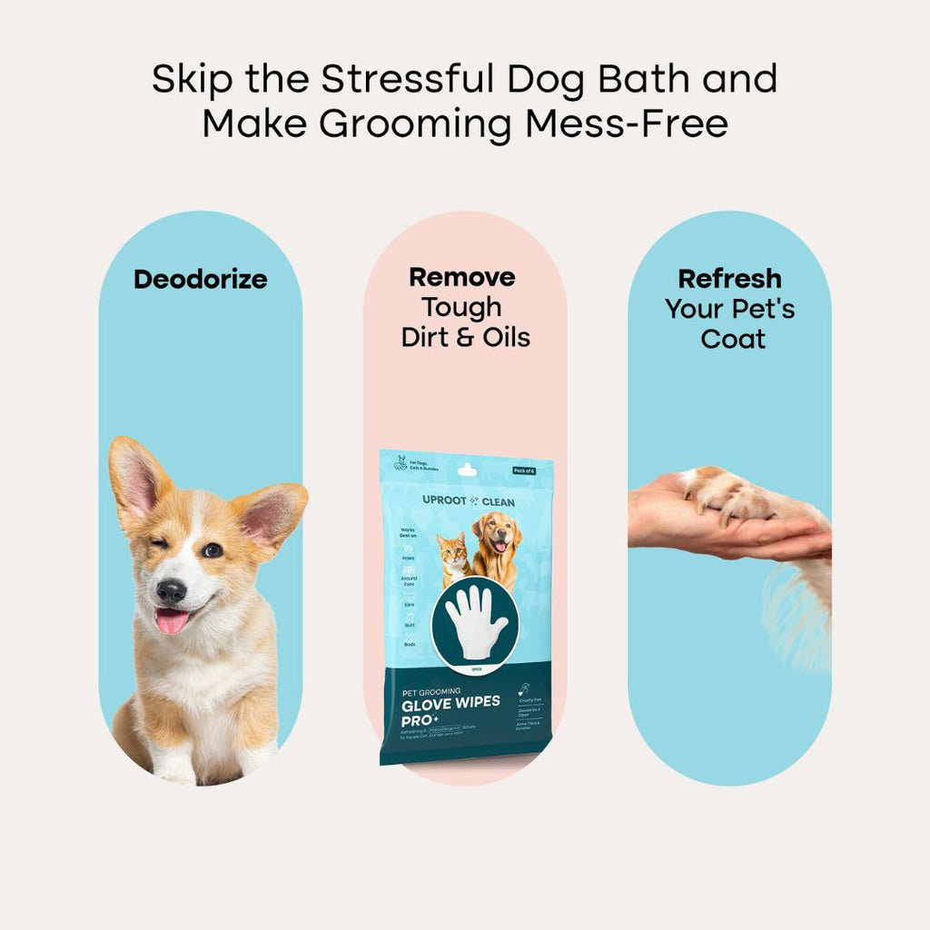 QuickClean Gromming Gloves Wipes Pro | BUY 1 GET 1 FREE!