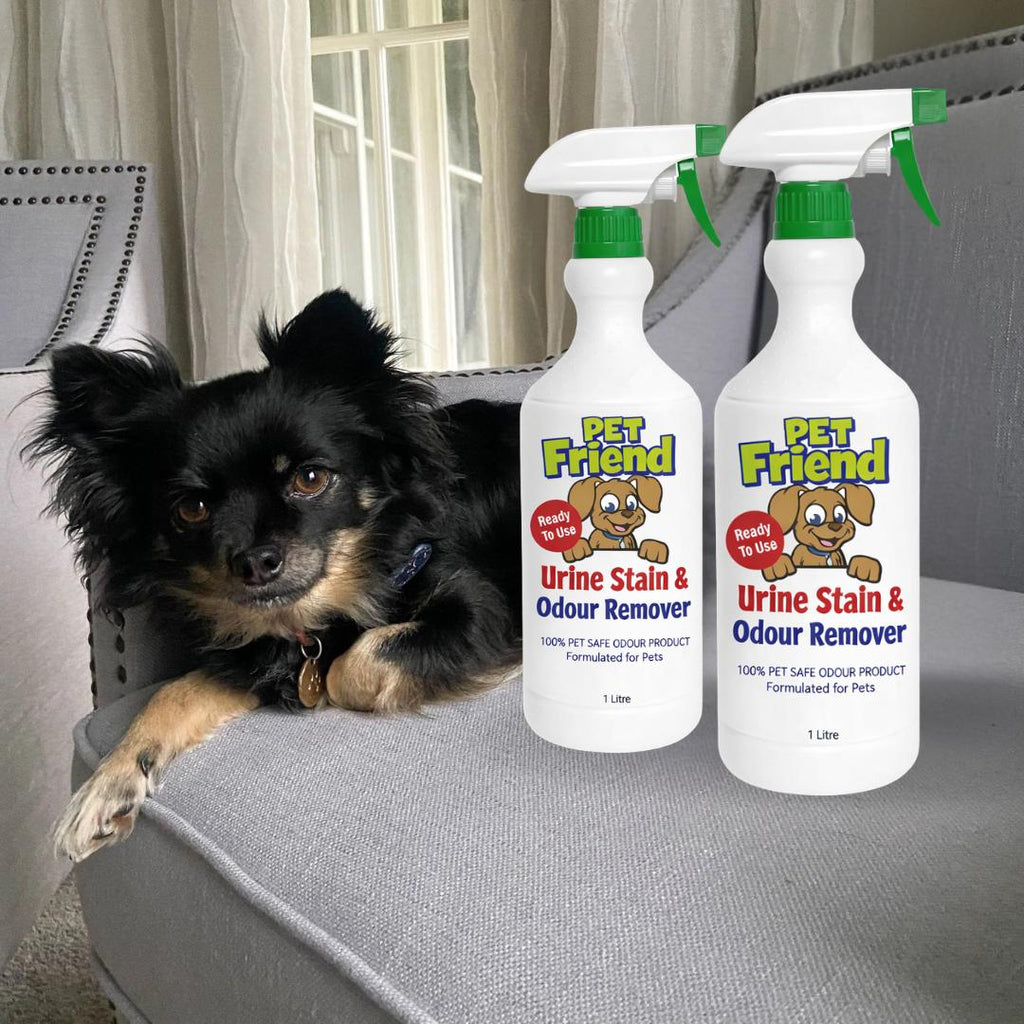 Pet Urine Stain & Odour Remover | Ready To Use Formula | BUY 1 GET 1 FREE!