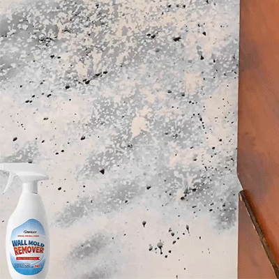 Wall Mold Remover Spray | BUY 1 GET 1 FREE!