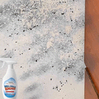 Wall Mold Remover Spray | BUY 1 GET 1 FREE!